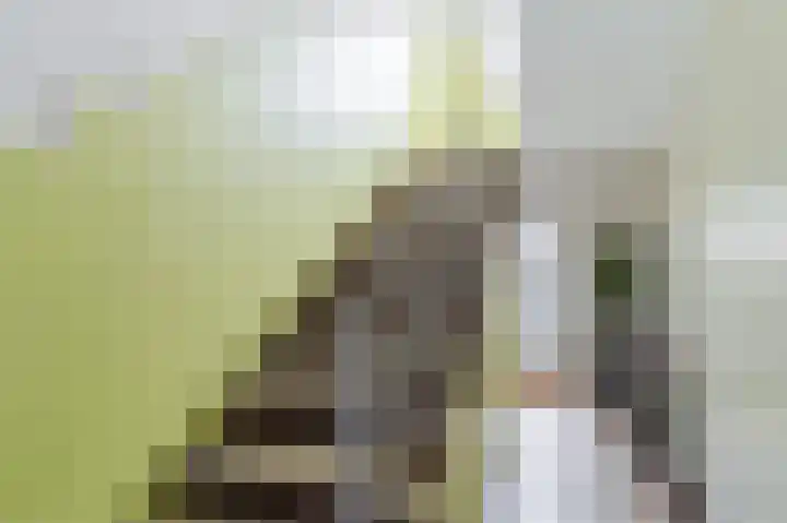 Bruijnings Ingenhoeslaan 34 Voorburg thumbnail 24