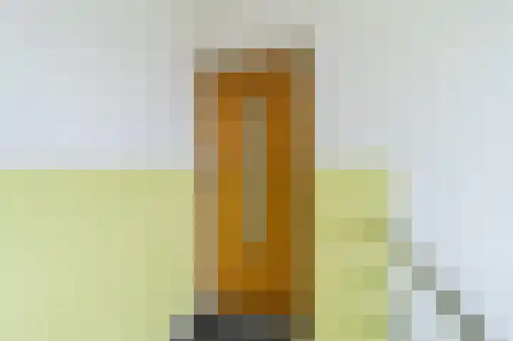 Bruijnings Ingenhoeslaan 34 Voorburg thumbnail 25