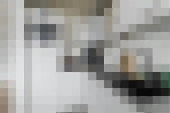Bruijnings Ingenhoeslaan 34 Voorburg thumbnail 6