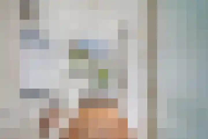 Bruijnings Ingenhoeslaan 364 Voorburg thumbnail 11