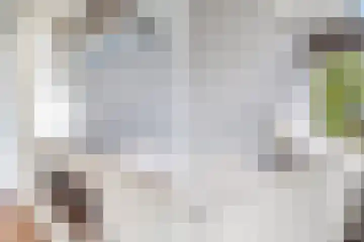 Bruijnings Ingenhoeslaan 364 Voorburg thumbnail 14