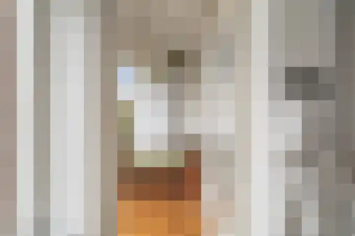 Bruijnings Ingenhoeslaan 364 Voorburg thumbnail 15