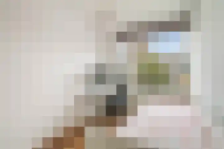 Bruijnings Ingenhoeslaan 364 Voorburg thumbnail 17