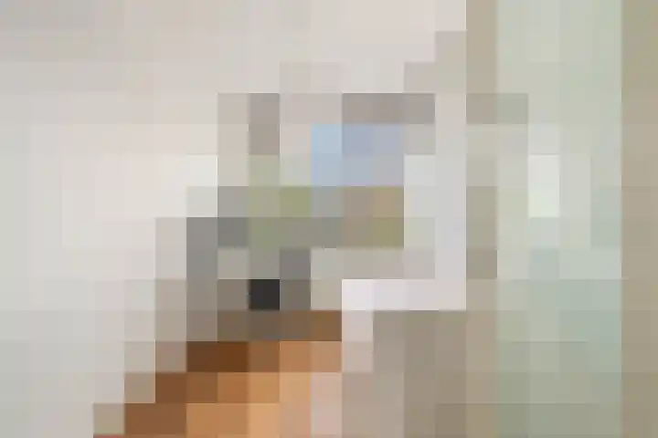 Bruijnings Ingenhoeslaan 364 Voorburg thumbnail 18