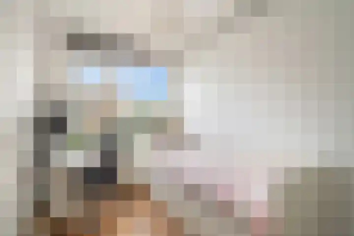Bruijnings Ingenhoeslaan 364 Voorburg thumbnail 19
