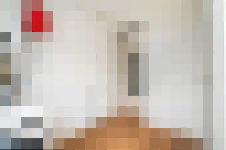 Bruijnings Ingenhoeslaan 364 Voorburg thumbnail 24
