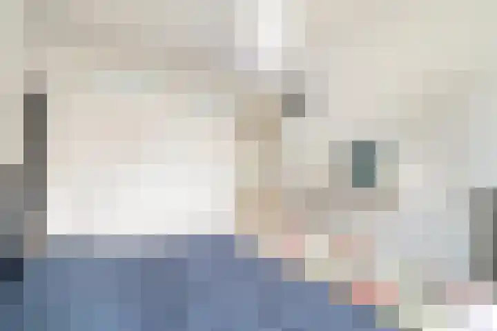 Bruijnings Ingenhoeslaan 364 Voorburg thumbnail 28
