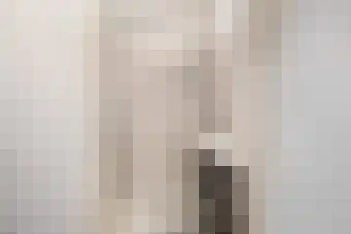 Bruijnings Ingenhoeslaan 364 Voorburg thumbnail 29