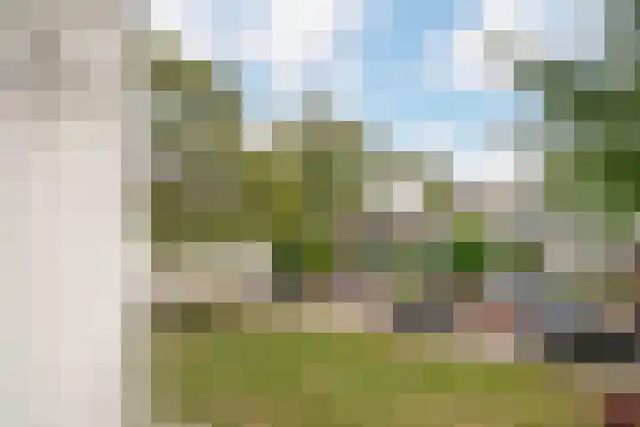 Bruijnings Ingenhoeslaan 364 Voorburg thumbnail 31