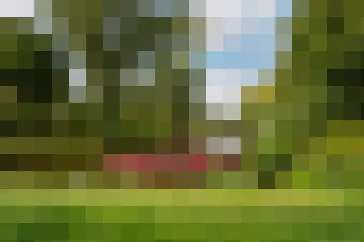 Bruijnings Ingenhoeslaan 364 Voorburg thumbnail 35
