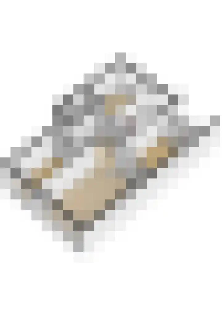 Bruijnings Ingenhoeslaan 364 Voorburg thumbnail 40