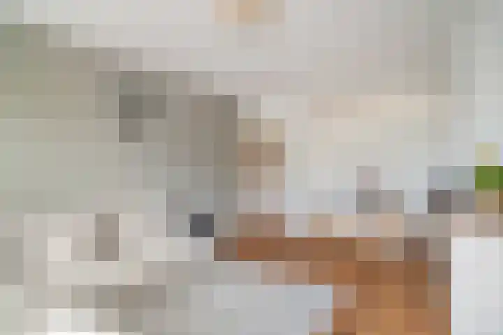 Bruijnings Ingenhoeslaan 364 Voorburg thumbnail 7