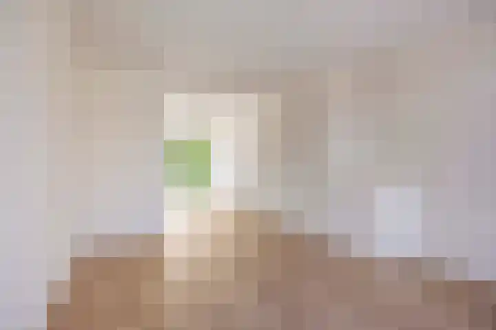 Bruijnings Ingenhoeslaan 366 Voorburg thumbnail 12