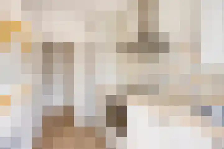 Bruijnings Ingenhoeslaan 366 Voorburg thumbnail 14