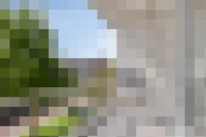 Bruijnings Ingenhoeslaan 366 Voorburg thumbnail 15