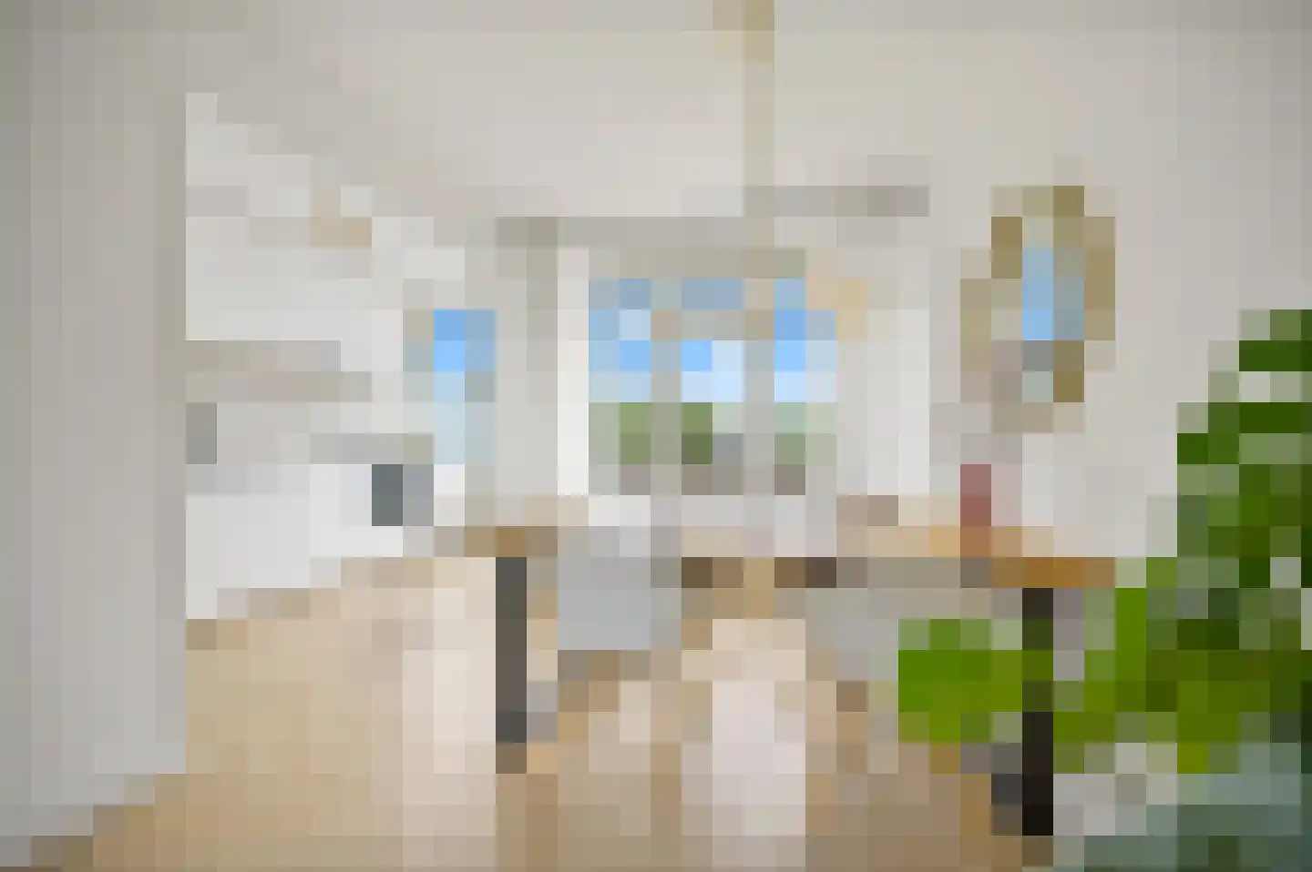 Bruijnings Ingenhoeslaan 368 Voorburg thumbnail 16