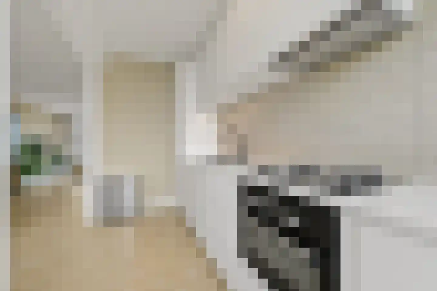 Bruijnings Ingenhoeslaan 368 Voorburg thumbnail 22
