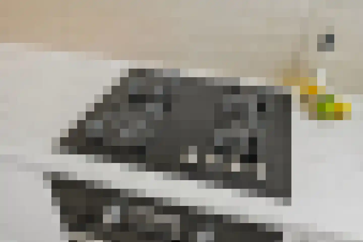 Bruijnings Ingenhoeslaan 368 Voorburg thumbnail 23