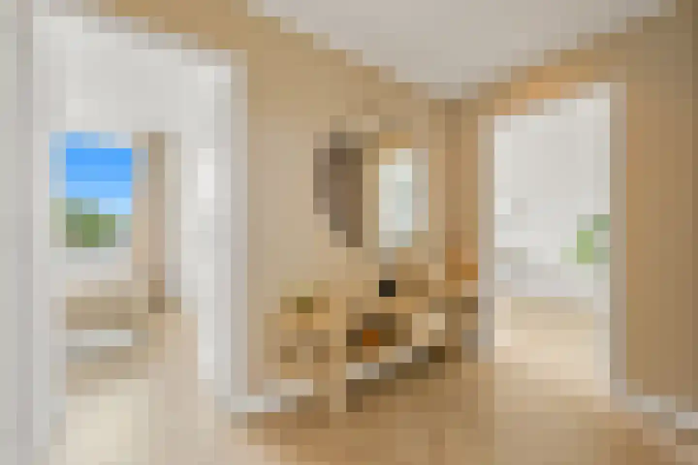 Bruijnings Ingenhoeslaan 368 Voorburg thumbnail 24