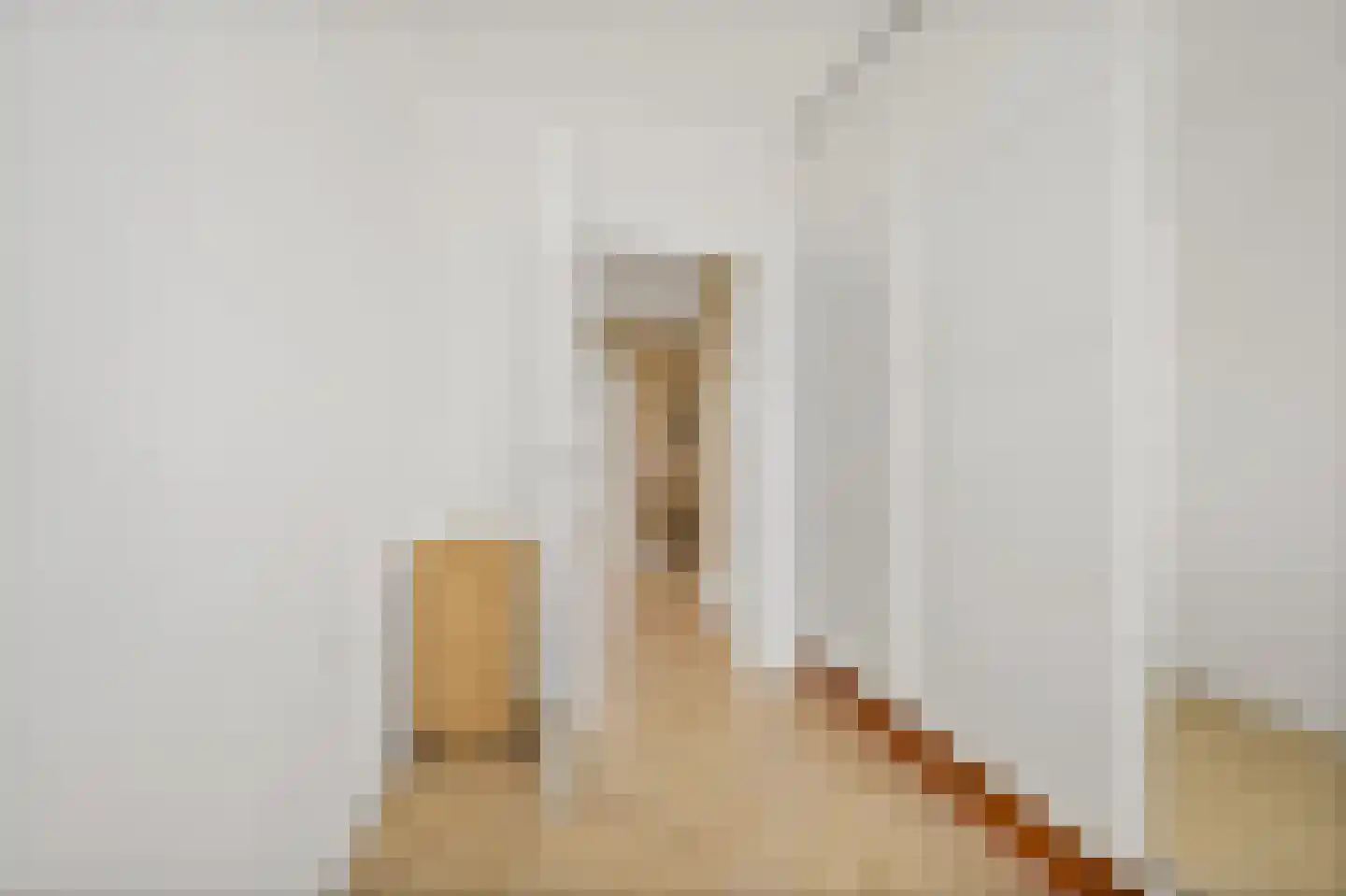 Bruijnings Ingenhoeslaan 368 Voorburg thumbnail 27