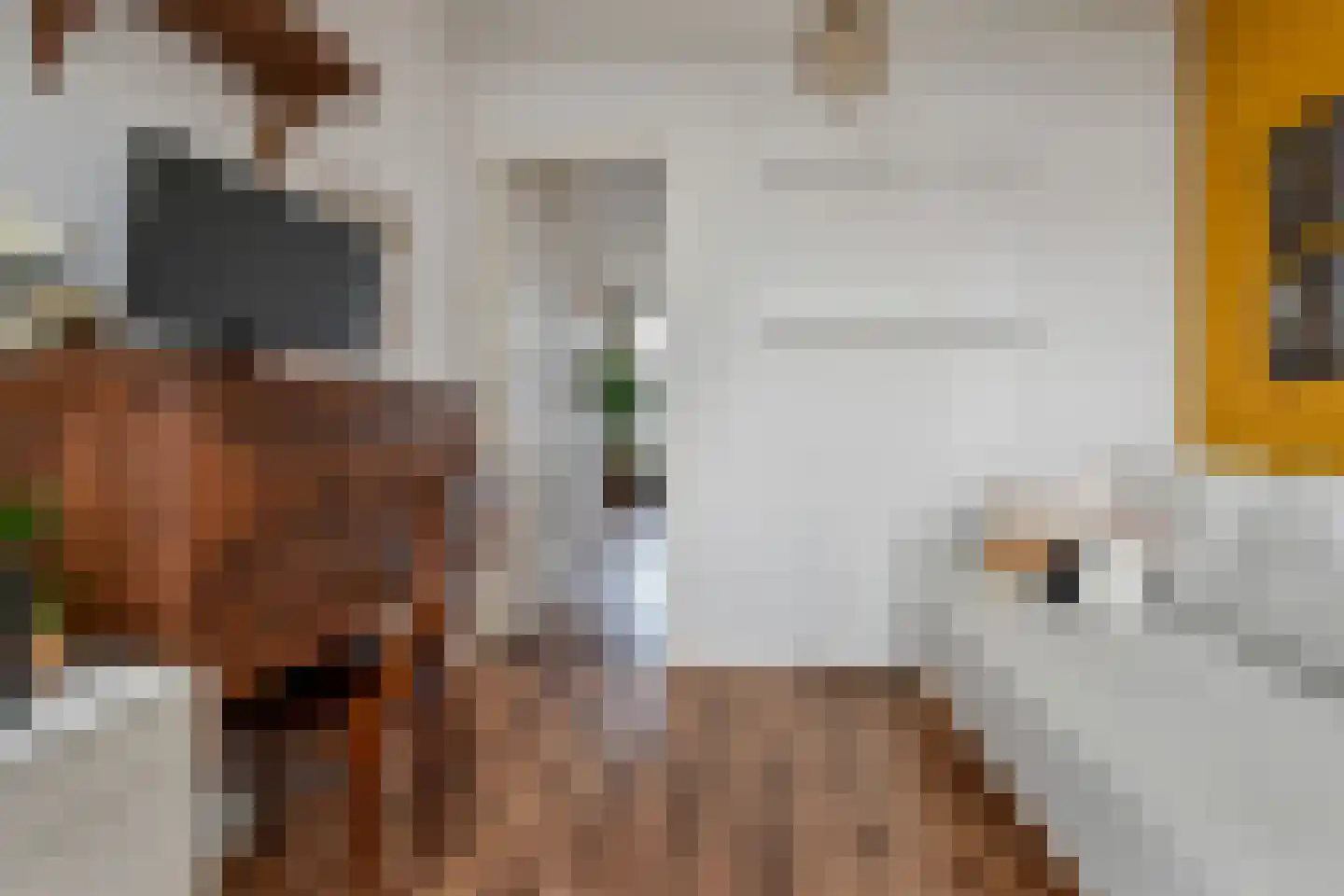 Bruijnings Ingenhoeslaan 372 Voorburg thumbnail 19
