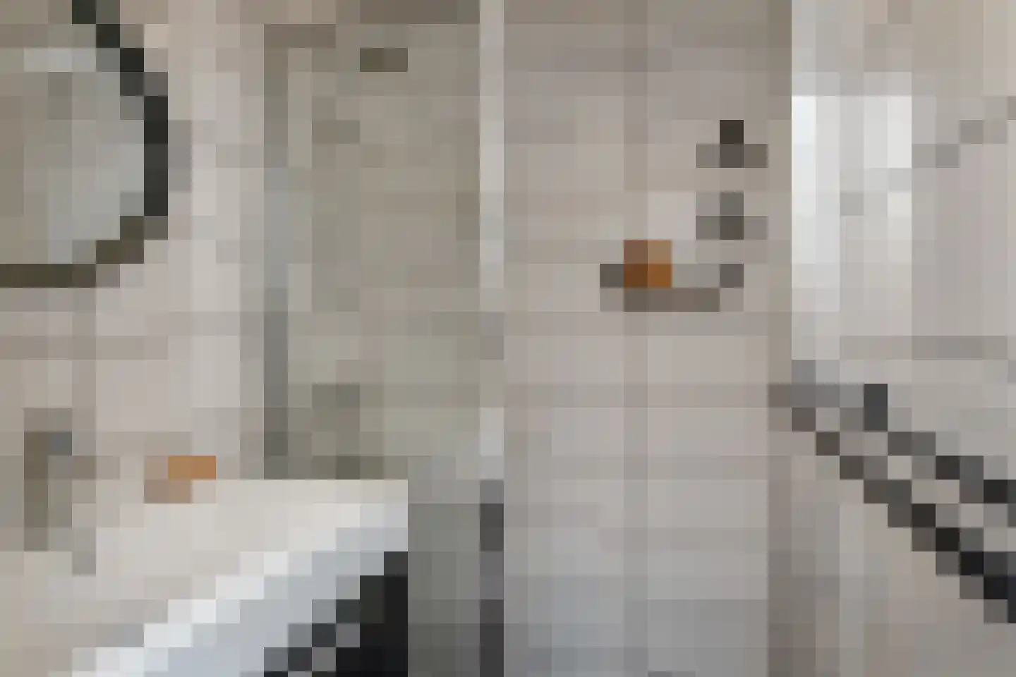 Bruijnings Ingenhoeslaan 372 Voorburg thumbnail 21