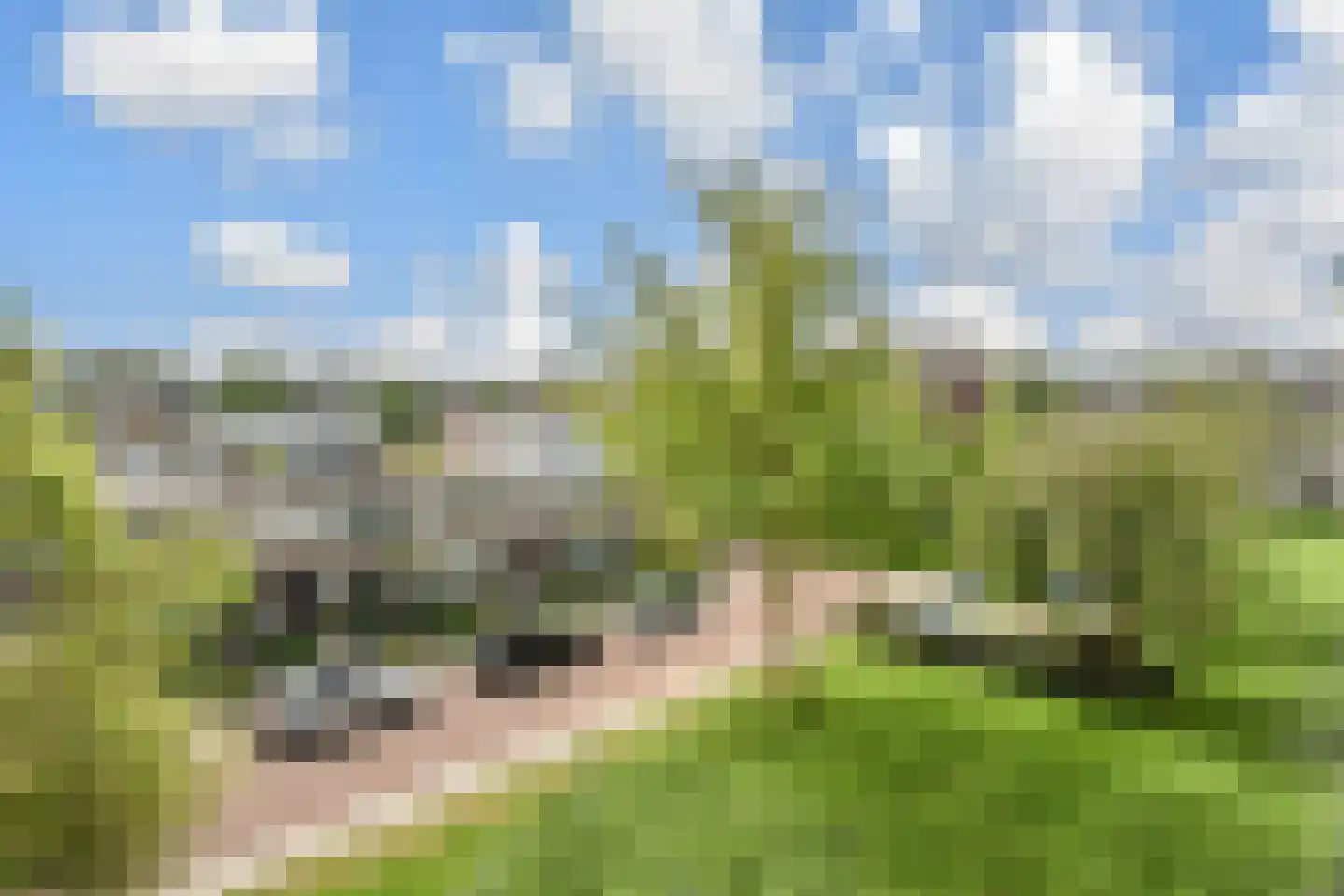 Bruijnings Ingenhoeslaan 372 Voorburg thumbnail 23
