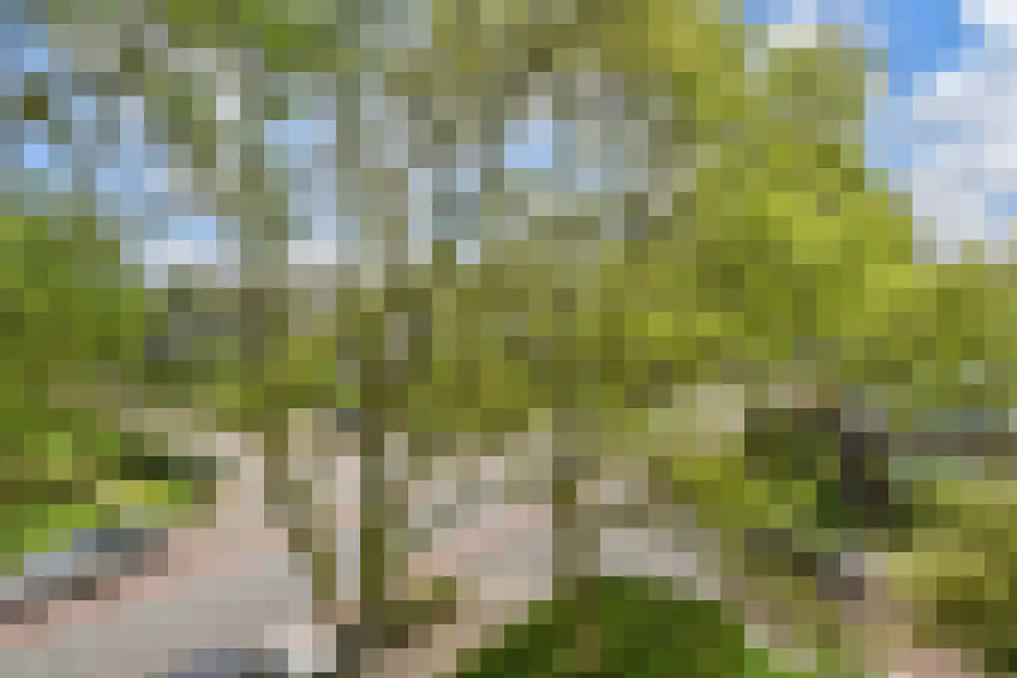 Bruijnings Ingenhoeslaan 372 Voorburg thumbnail 25