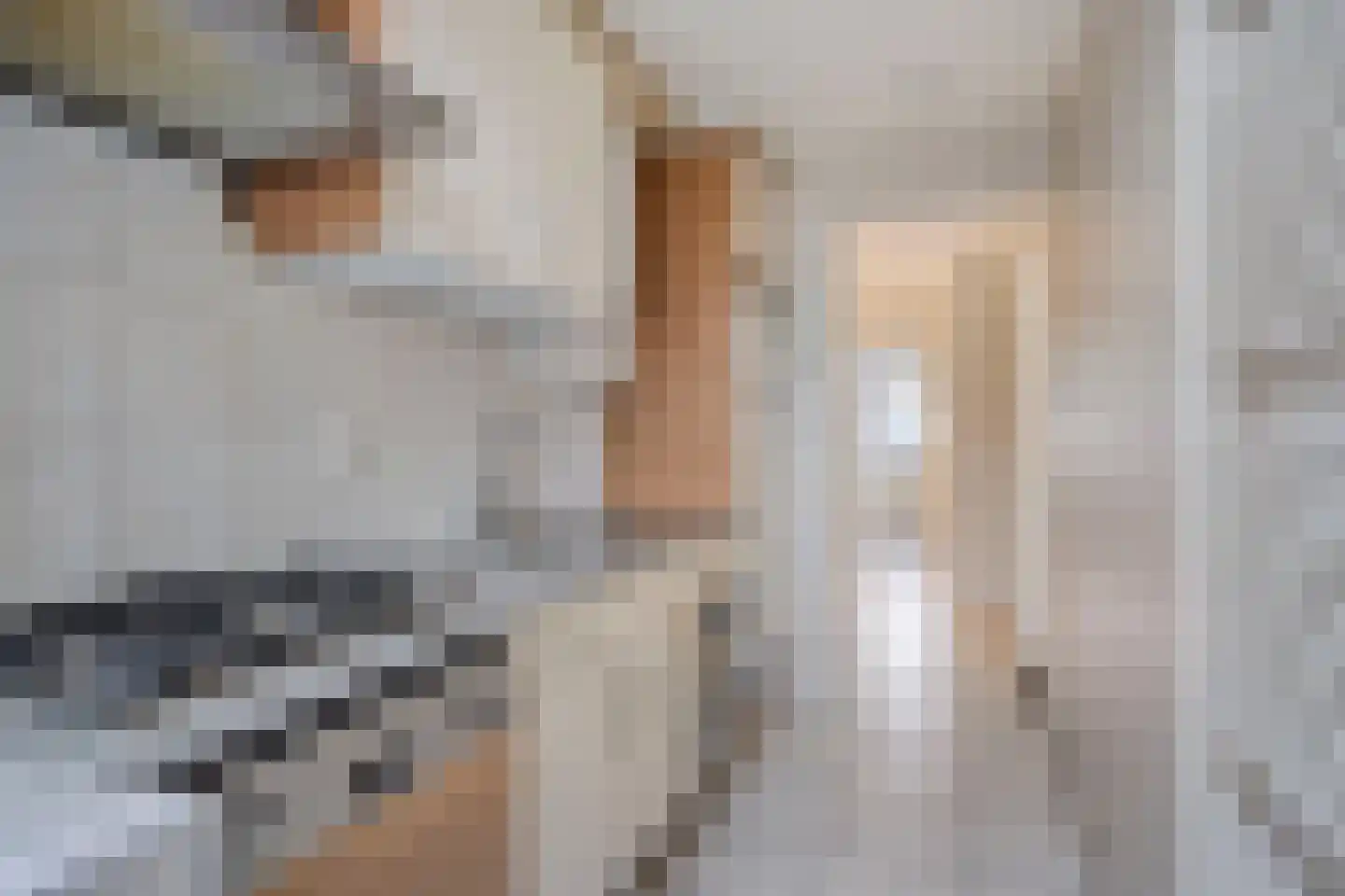 Bruijnings Ingenhoeslaan 44 Voorburg thumbnail 12