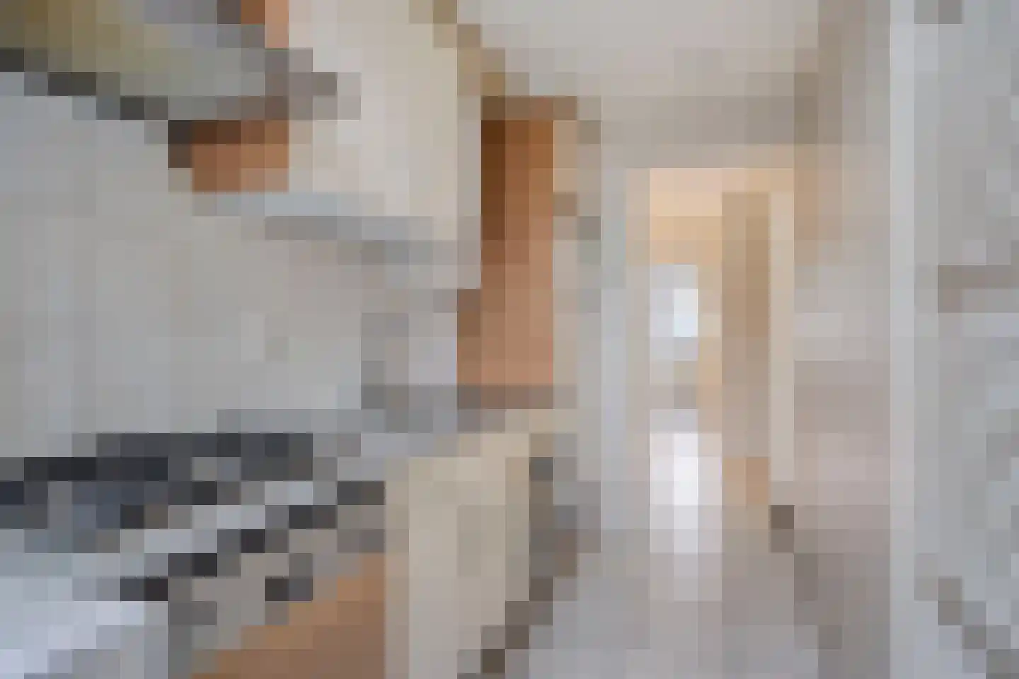 Bruijnings Ingenhoeslaan 44 Voorburg thumbnail 4