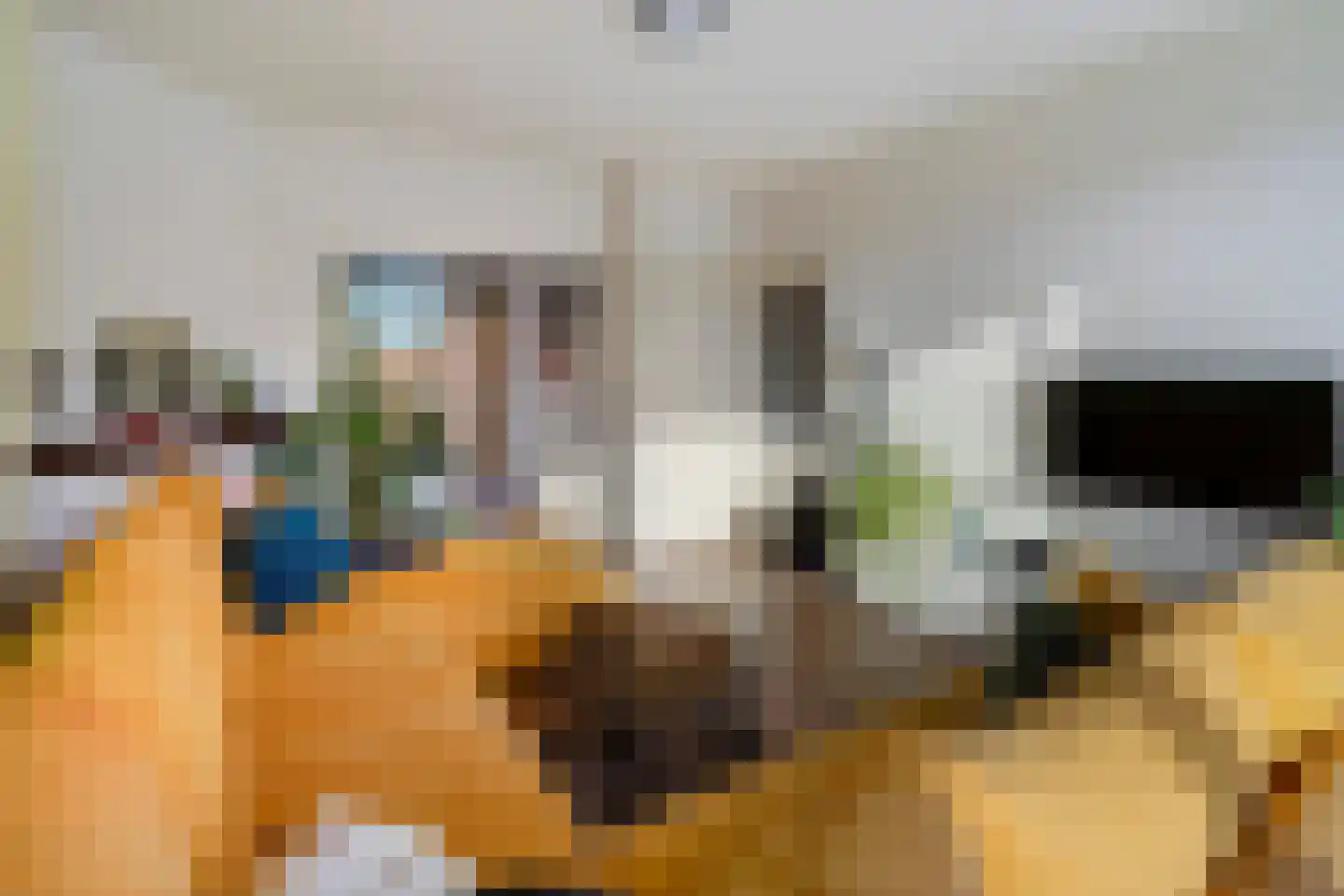 Bruijnings Ingenhoeslaan 45 Voorburg thumbnail 10