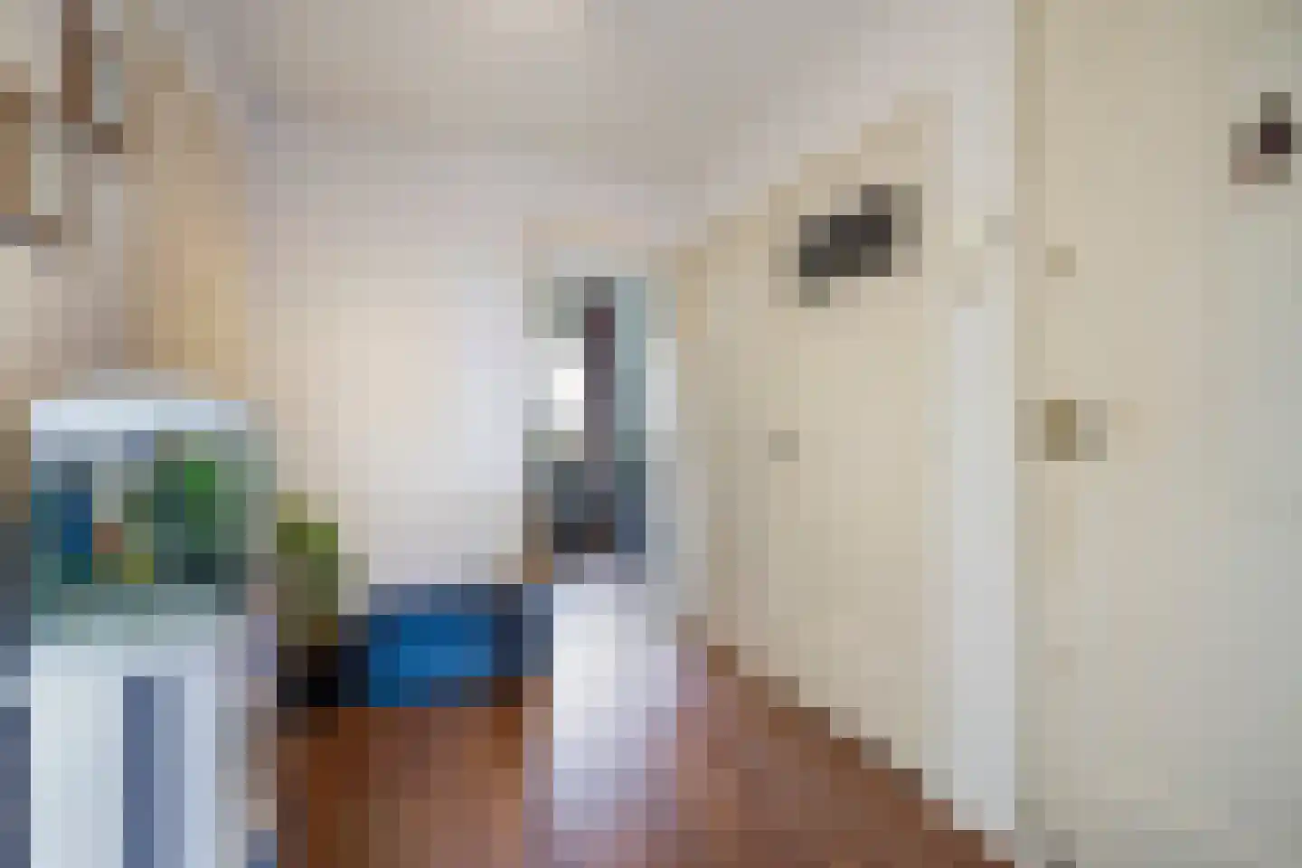 Bruijnings Ingenhoeslaan 45 Voorburg thumbnail 13