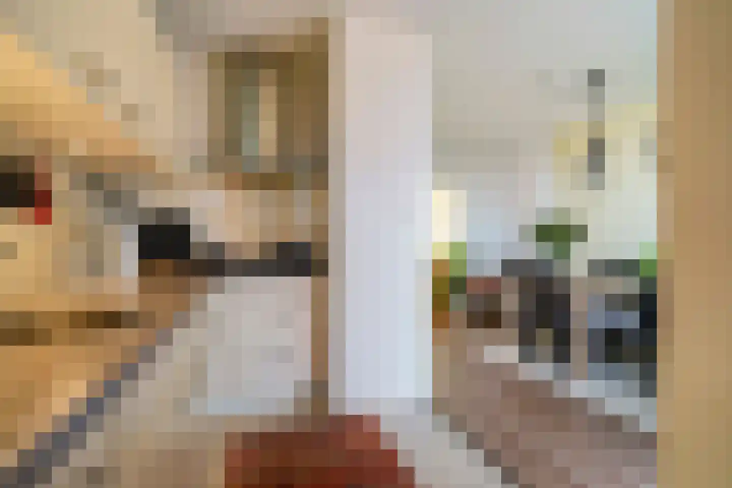 Bruijnings Ingenhoeslaan 45 Voorburg thumbnail 23