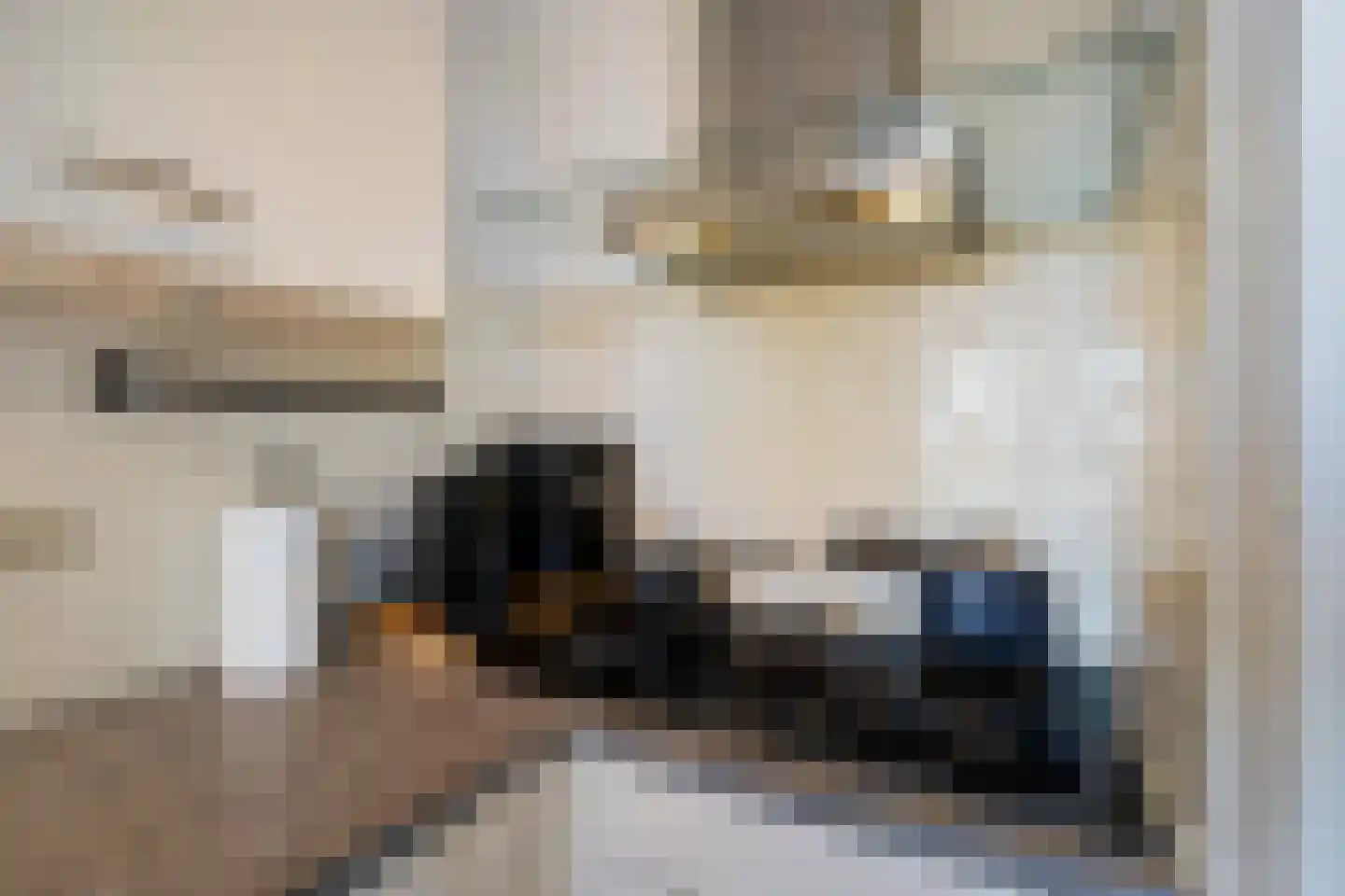 Bruijnings Ingenhoeslaan 45 Voorburg thumbnail 24