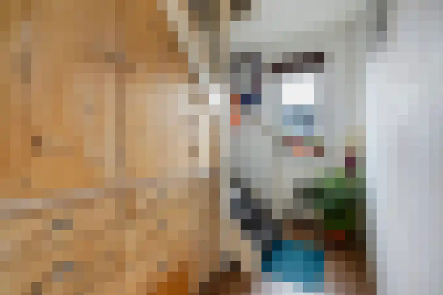 Bruijnings Ingenhoeslaan 45 Voorburg thumbnail 28
