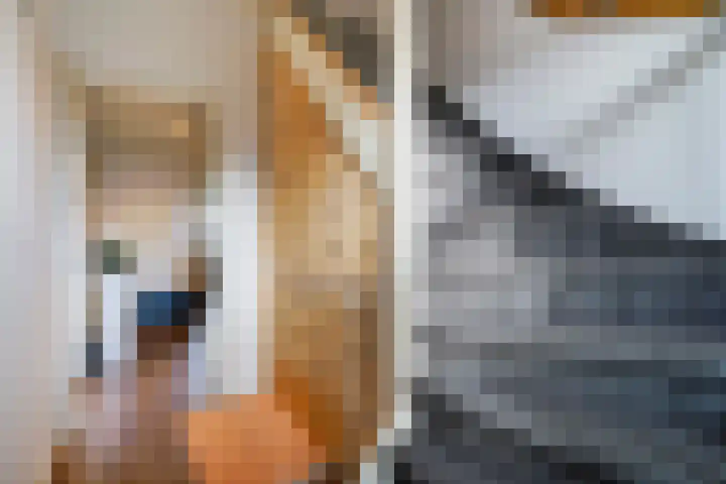 Bruijnings Ingenhoeslaan 45 Voorburg thumbnail 29