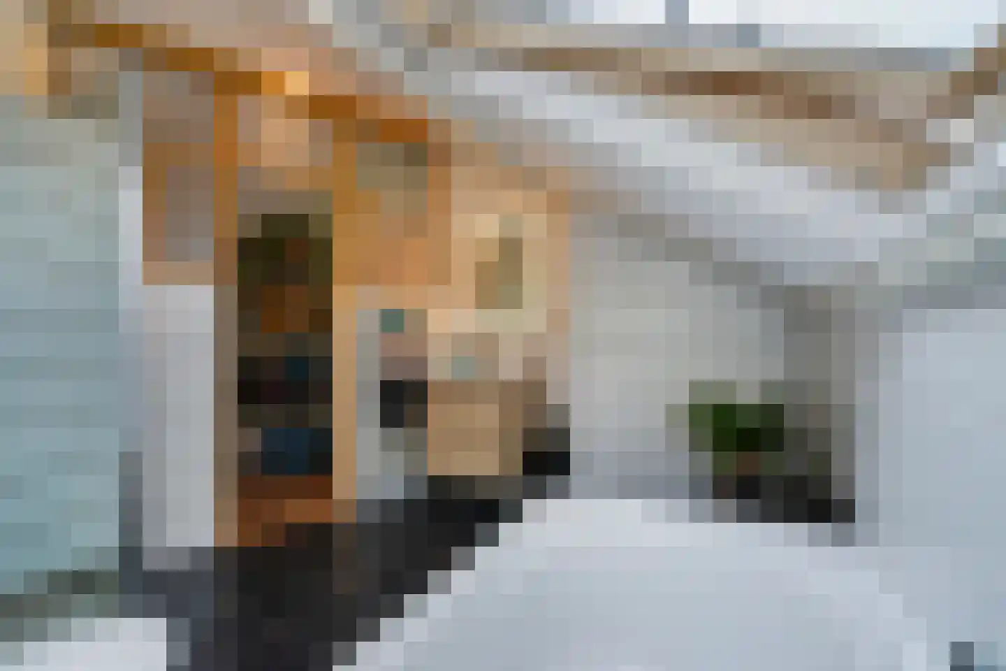 Bruijnings Ingenhoeslaan 45 Voorburg thumbnail 38