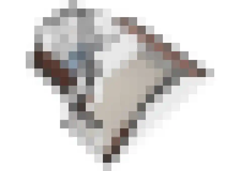 Bruijnings Ingenhoeslaan 45 Voorburg thumbnail 47