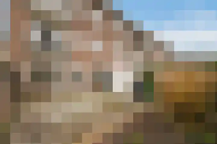 Bruijnings Ingenhoeslaan 51 Voorburg thumbnail 11