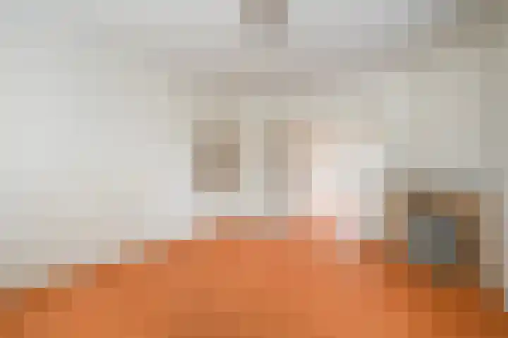 Bruijnings Ingenhoeslaan 51 Voorburg thumbnail 5