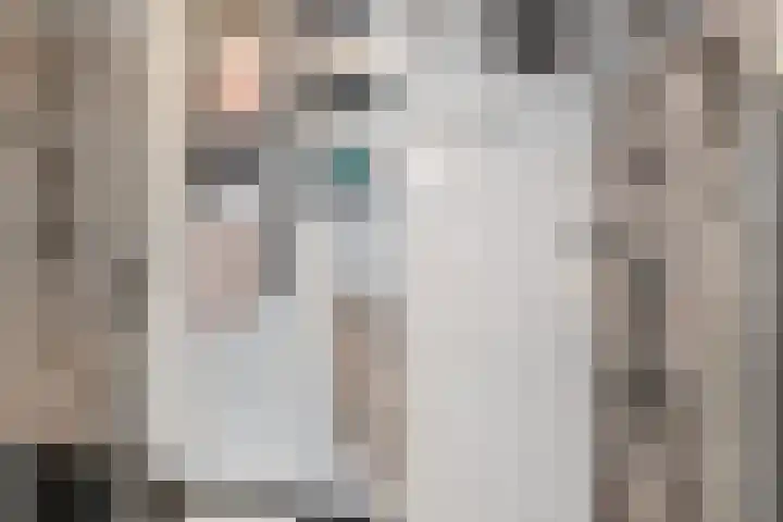 Bruijnings Ingenhoeslaan 68 Voorburg thumbnail 12