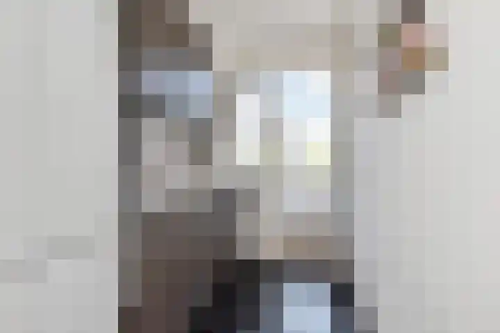 Bruijnings Ingenhoeslaan 68 Voorburg thumbnail 14