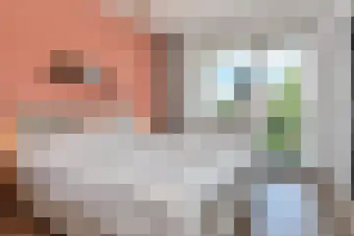 Bruijnings Ingenhoeslaan 68 Voorburg thumbnail 17