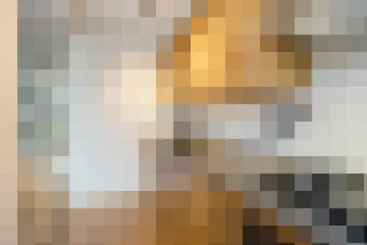 Bruijnings Ingenhoeslaan 81 Voorburg thumbnail 17