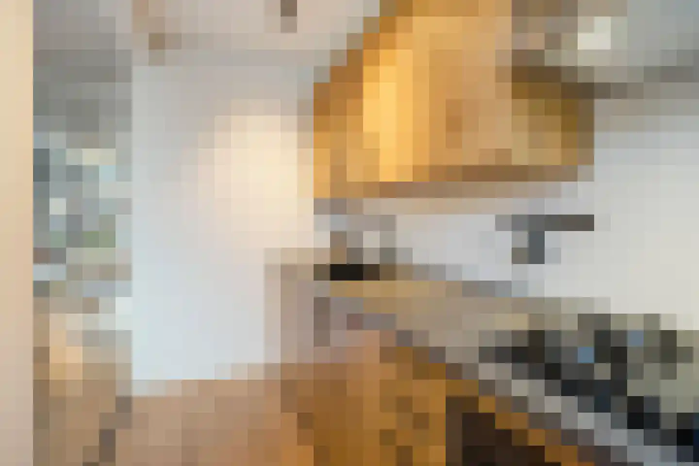 Bruijnings Ingenhoeslaan 81 Voorburg thumbnail 17