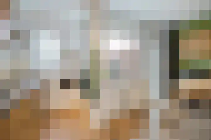 Bruijnings Ingenhoeslaan 81 Voorburg thumbnail 18