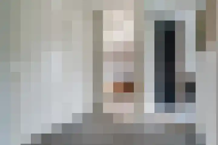 Bruijnings Ingenhoeslaan 81 Voorburg thumbnail 22