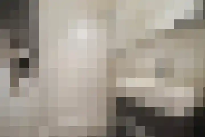 Bruijnings Ingenhoeslaan 81 Voorburg thumbnail 29