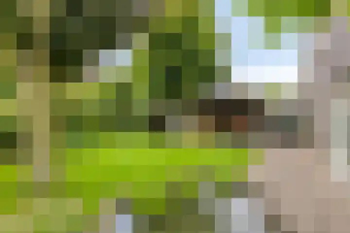 Bruijnings Ingenhoeslaan 81 Voorburg thumbnail 30