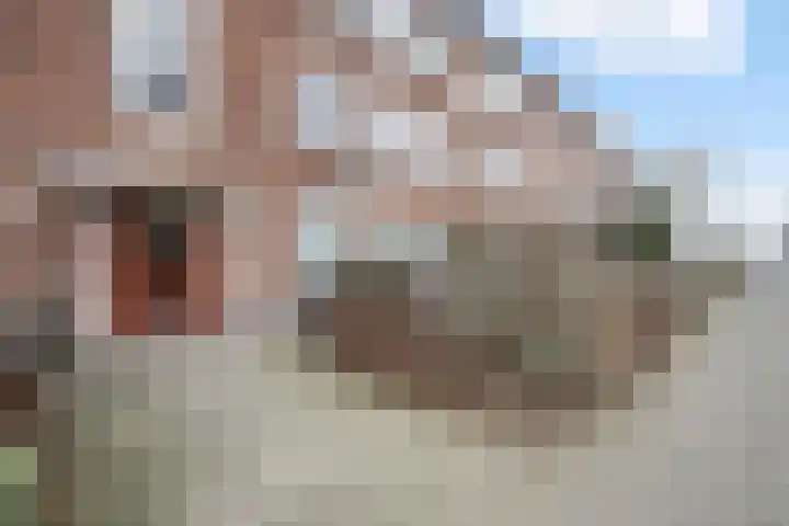 Bruijnings Ingenhoeslaan 81 Voorburg thumbnail 36